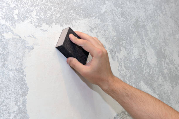Best Emergency Mold Remediation  in Spearville, KS