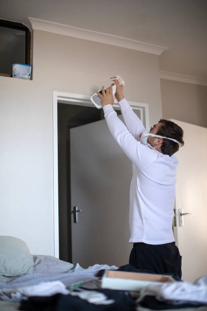Best Water Damage & Mold Remediation  in Spearville, KS