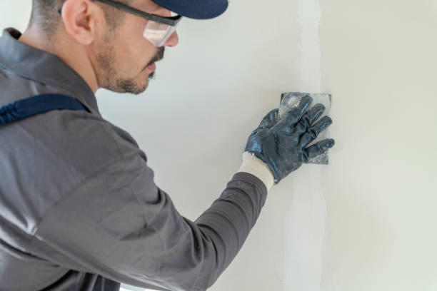 Reliable Spearville, KS Mold Removal Solutions