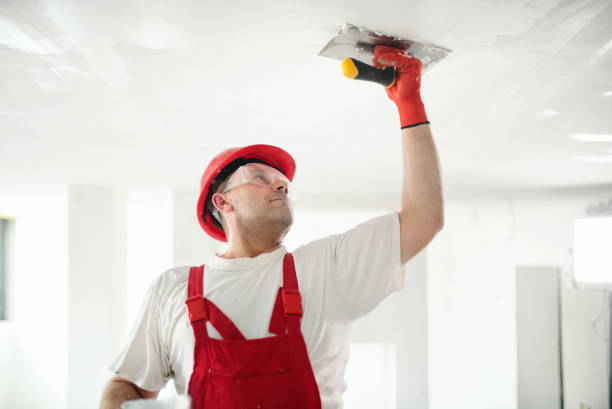Best Black Mold Removal  in Spearville, KS
