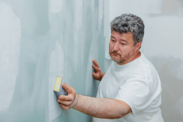 Best Post-Construction Mold Inspection  in Spearville, KS