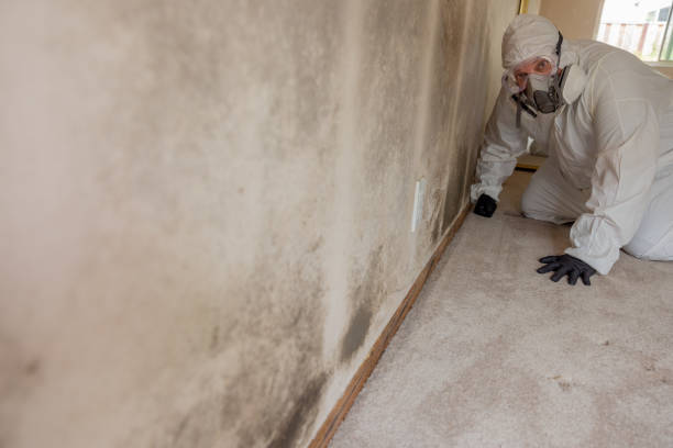 Best Mold Prevention Services  in Spearville, KS